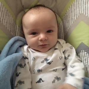 Meet your Posher, Molly