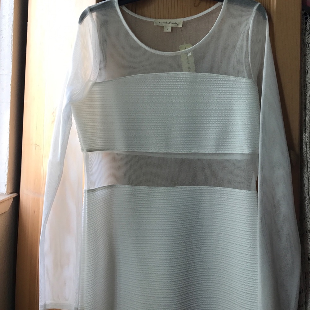 Painted Threads white body con style dress/ mesh