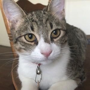 Meet your Posher, Melanie