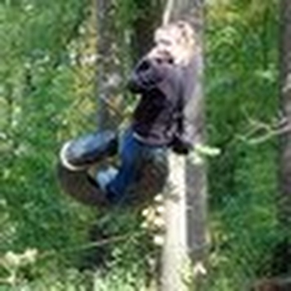 Meet your Posher, Betsy - Picture 1 of 1