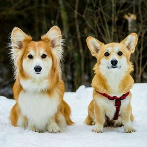 Meet your Posher, Amarys