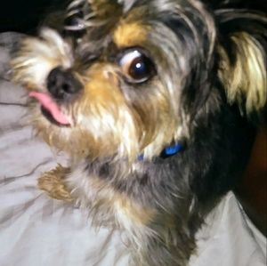 Meet your Posher, Brenda