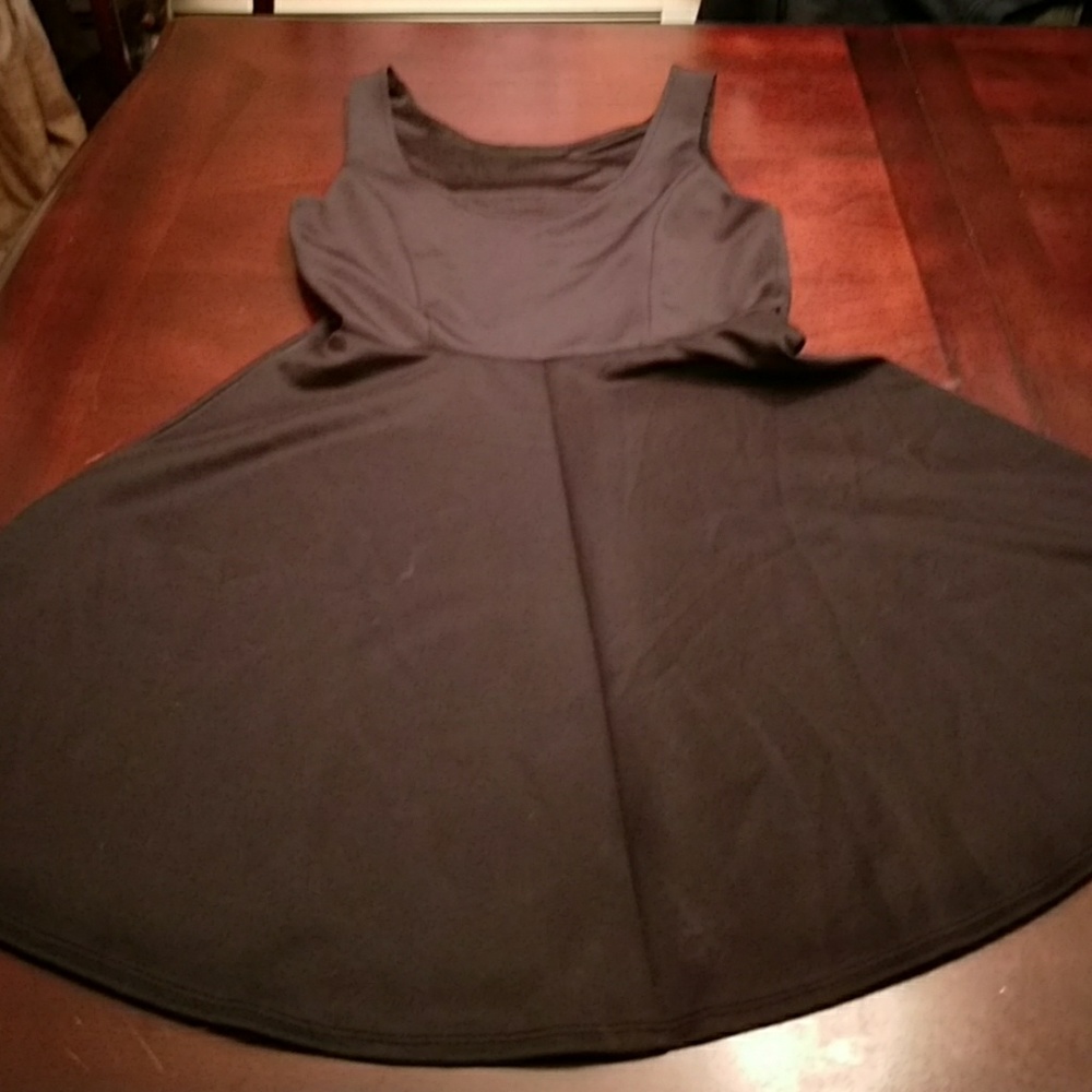 EUC F21 sleeveless skater dress