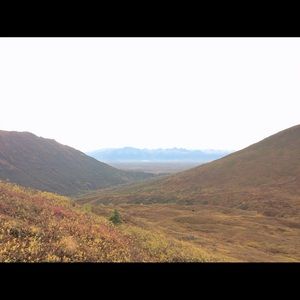 Meet your Posher, Tess