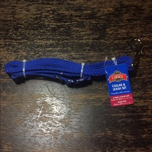 COLLAR & LEASH SET