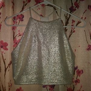 Metallic Crop Top