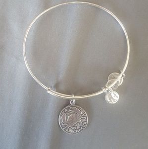 Cancer Alex and Ani Bracelet