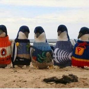 Meet your Posher, Lucy