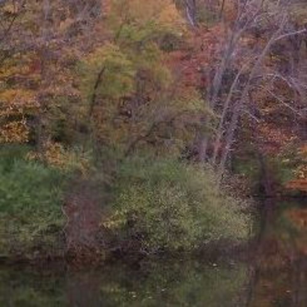 Meet your Posher, Vena