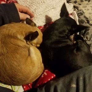 Meet your Posher, Robert