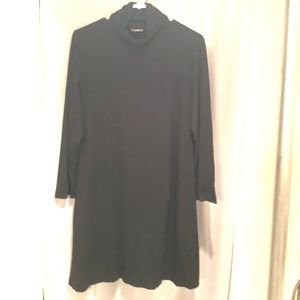 J Jill turtleneck dress