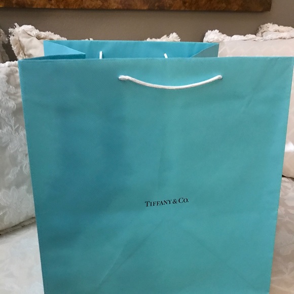 Tiffany & Co. Paper Bags - Picture 3 of 4