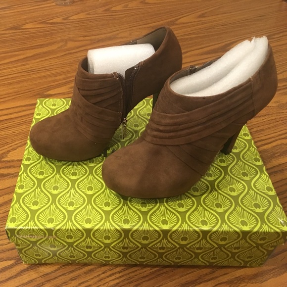 gianni bini ankle boots dillards