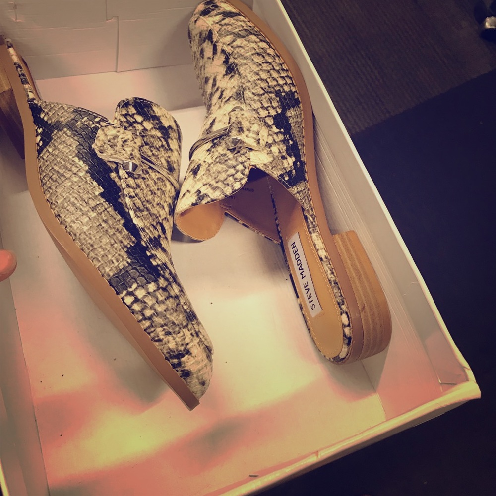 Steve Madden snake flats