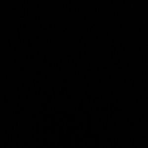 Meet your Posher, Destiny