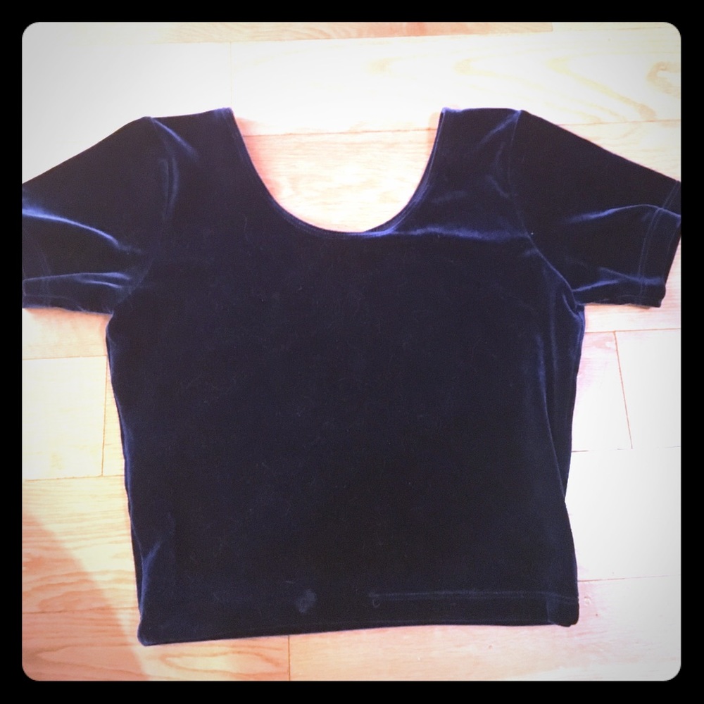 American apparel royal blue velvet crop top