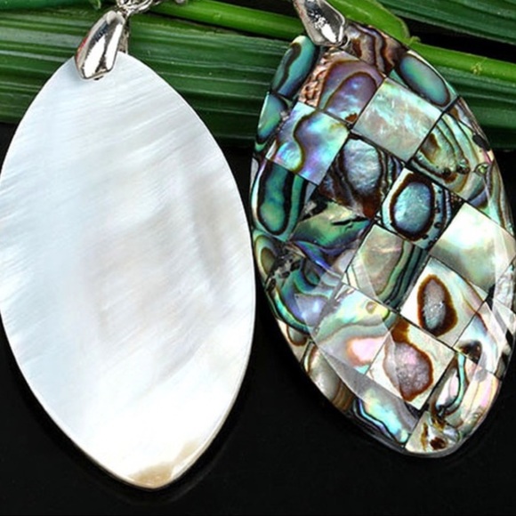NEW Natural Abalone Shell Necklace & Earrings Set - Picture 4 of 8