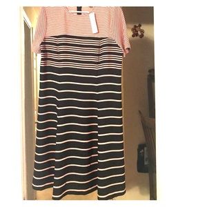 Ann Taylor dress