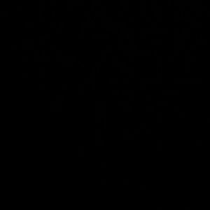 Meet your Posher, Lexi