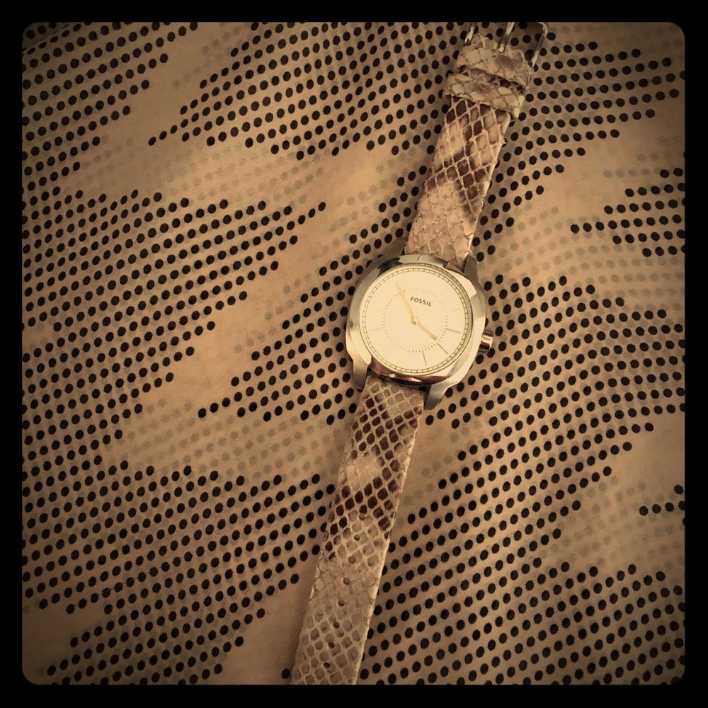 Fossil Watch