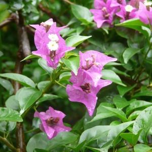 Meet your Posher, Christie