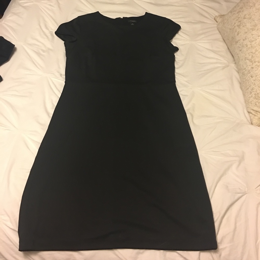 Classy Ann Taylor Dress
