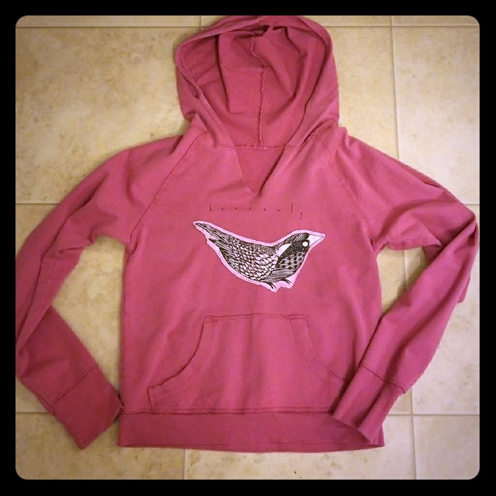Pink heavenly hoodie
