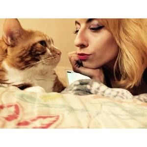 Meet your Posher, Sidney