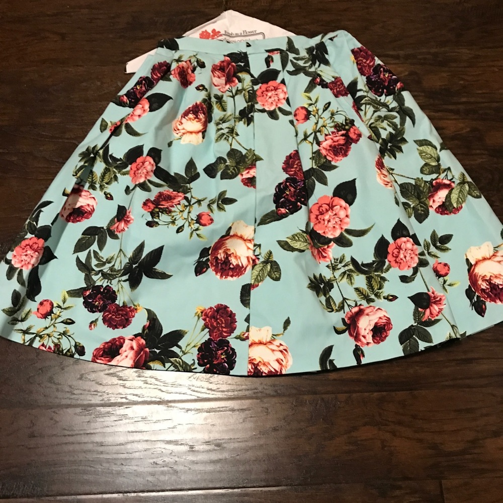 Cece skirt mint condition