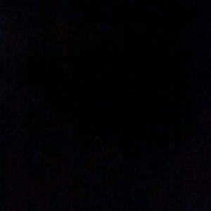 Meet your Posher, Lenny