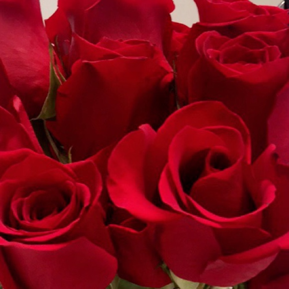 Meet your Posher, Jen