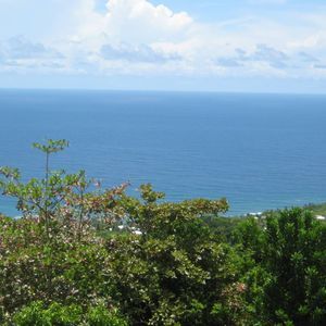 Meet your Posher, Mario