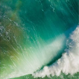 Meet your Posher, Grisel