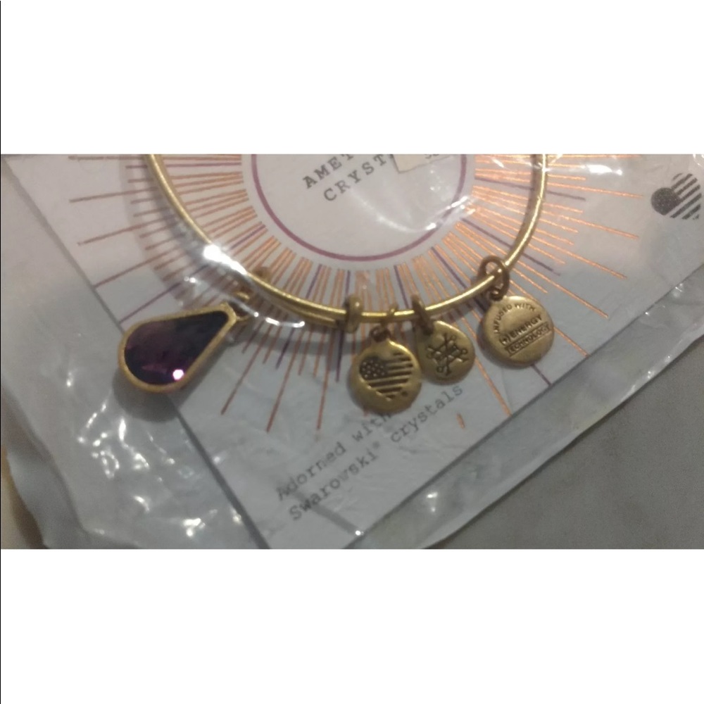 💕ALEX AND ANI February Teardrop Raf Gold Bangle💕 - Picture 2 of 3