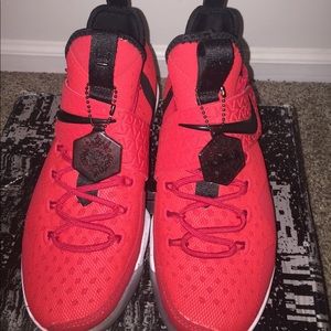 Lebron 14's brick reds