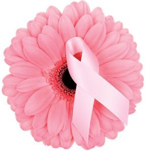 Meet your Posher, Maryann antonella