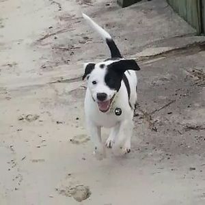 Meet your Posher, Deanne