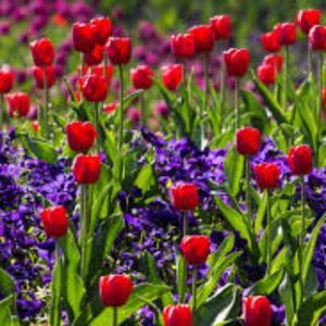 Meet your Posher, Ellie