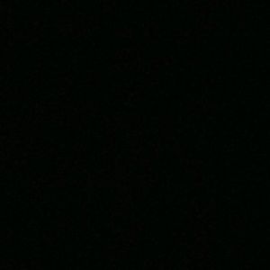 Meet your Posher, Dustin