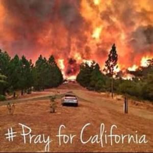 Meet your Posher, Tamara