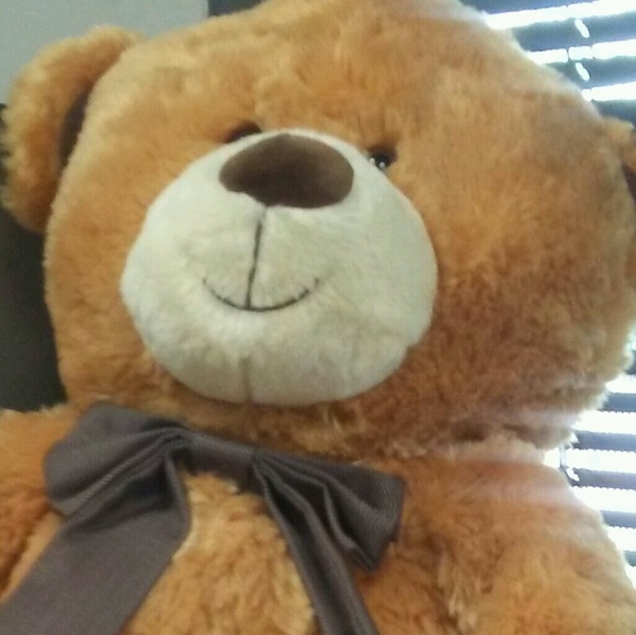 Meet your Posher, Sara - Picture 1 of 1