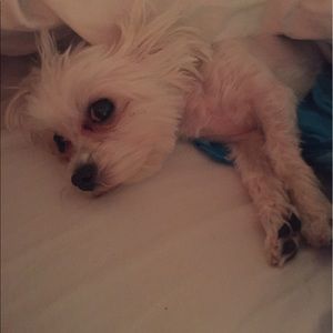 Meet your Posher, Kiley