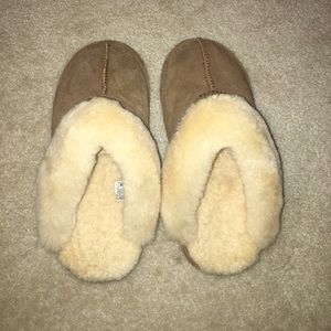 Bearpaw slippers