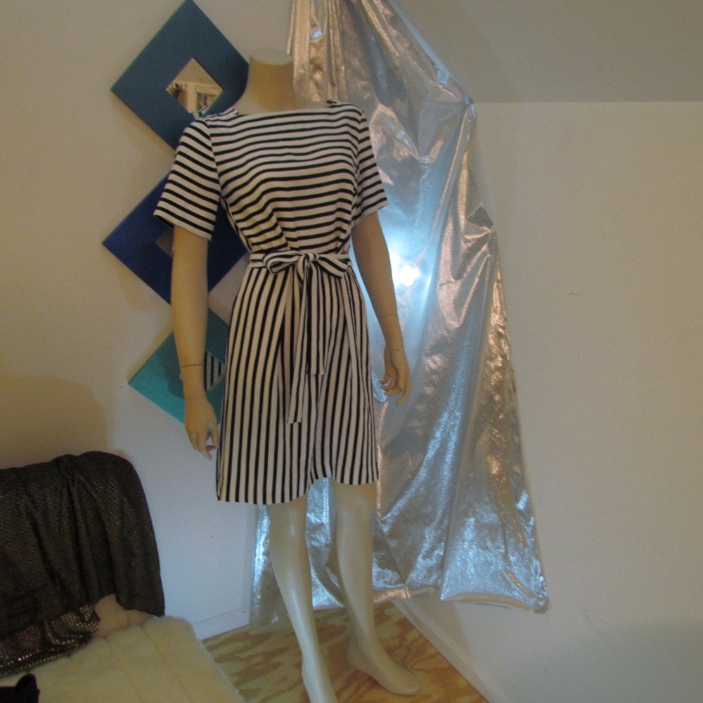 Anne Taylor Opposite Sides Stripped Dress