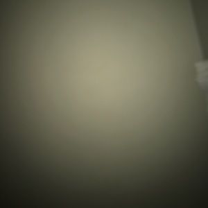 Meet your Posher, Sally