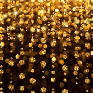 Meet your Posher, JewelryPalacee