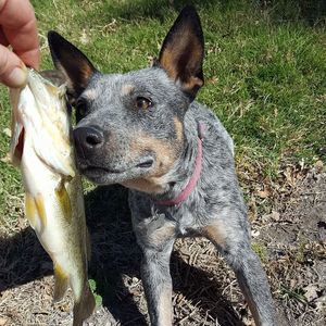 Meet your Posher, Melony