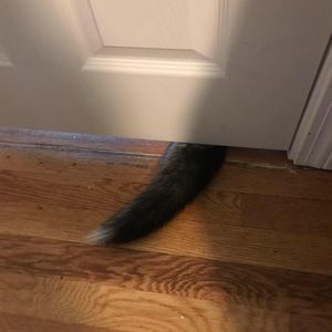 Meet your Posher, Lijie