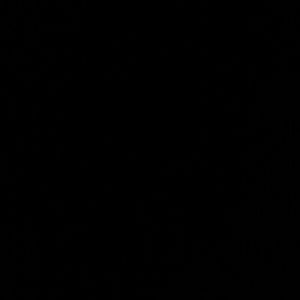 Meet your Posher, Kenya