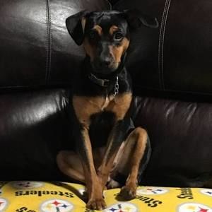 Meet your Posher, Maria